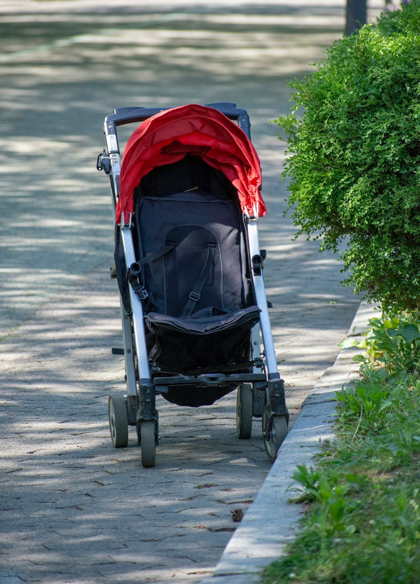 Top Amazon Finds for Urban Families in 2023